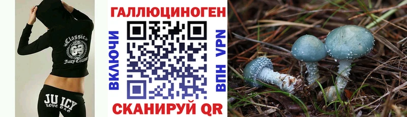 Галлюциногенные грибы GOLDEN TEACHER  гидра ТОР  Чадан 